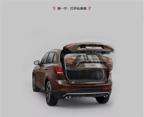 大象比汽车大多少